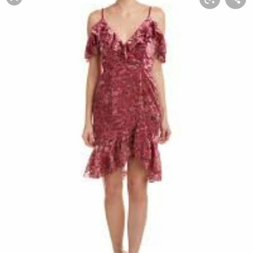 Lucy Paris dress, size large, new